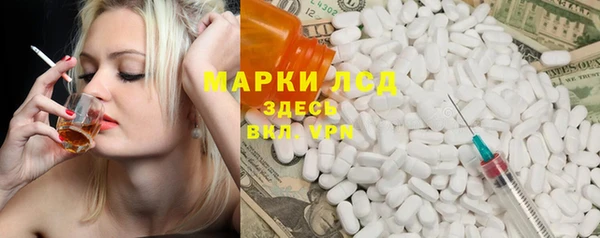 шишки Армянск