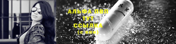 шишки Армянск