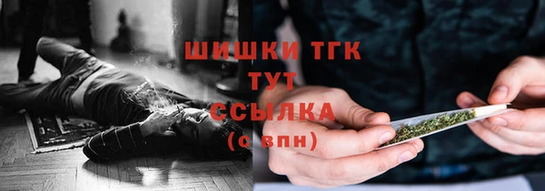 шишки Армянск