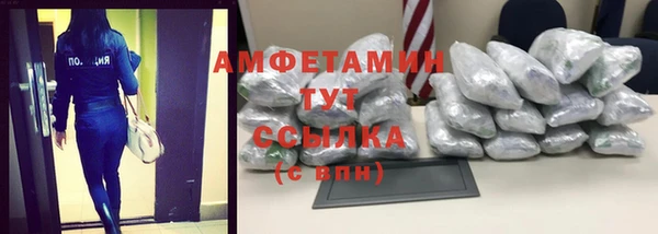 гидра Аркадак