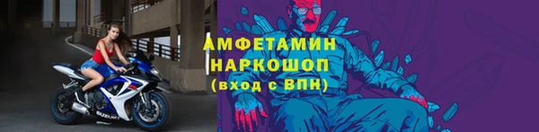 гидра Аркадак