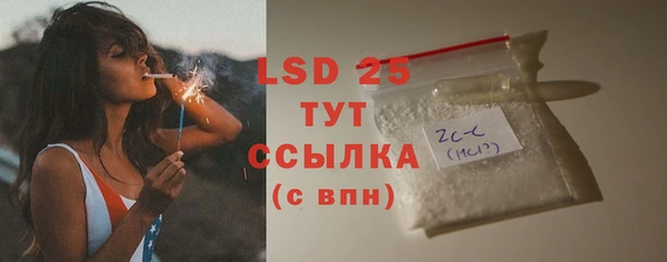 гидра Аркадак