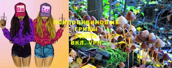 шишки Армянск