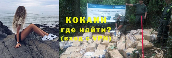 шишки Армянск