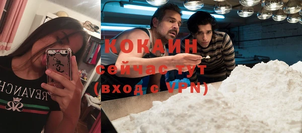 гидра Аркадак