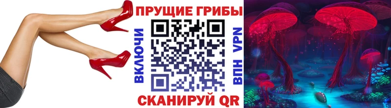 Галлюциногенные грибы прущие грибы  это состав  Шелехов 